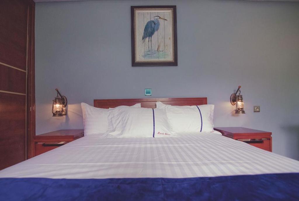 Mont Bleu Hotel Libreville Buitenkant foto